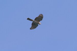 Bibione_SD1_2013-11-17_0356